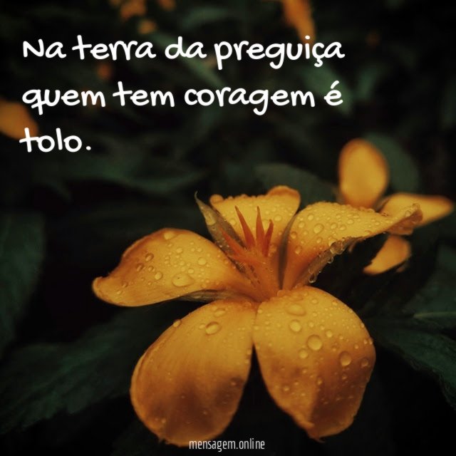 Na terra da preguiça quem tem coragem é tolo