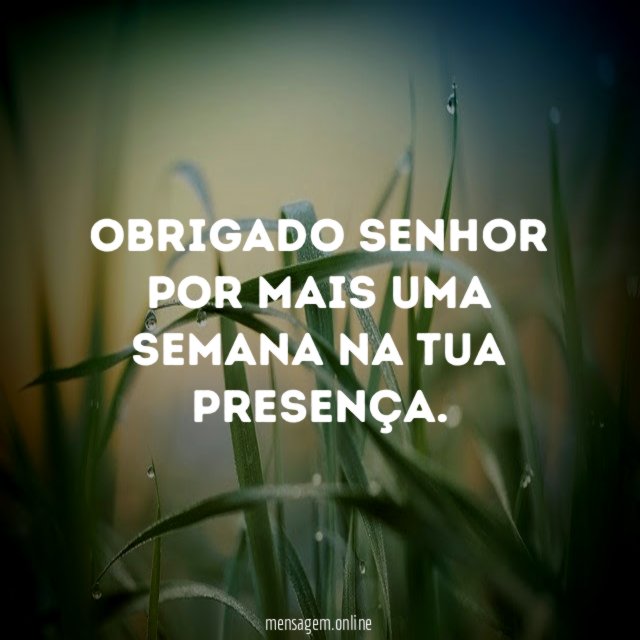 Obrigado Senhor por mais uma semana na Tua presença