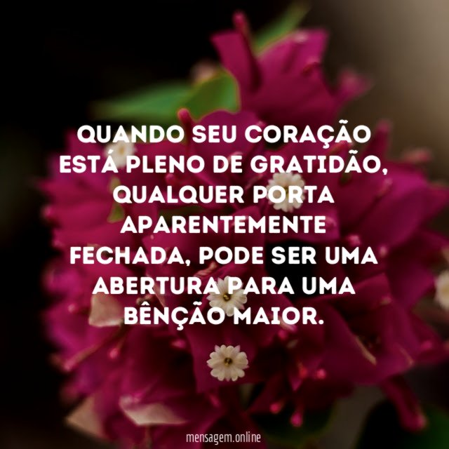 Quando seu coração está pleno de gratidão