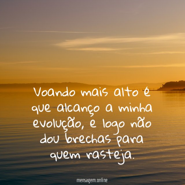 Voando mais alto é que alcanço a minha evolução