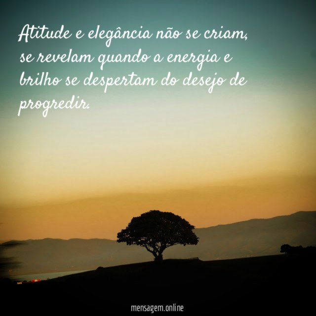 Atitude e elegância não se criam