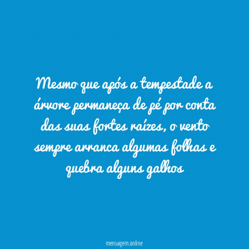 Mesmo que após a tempestade a árvore permaneça