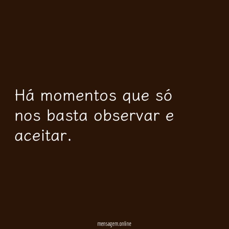 Há momentos que só nos basta observar e aceitar
