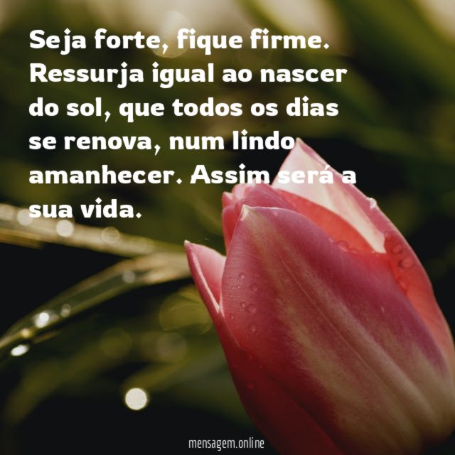 Seja forte