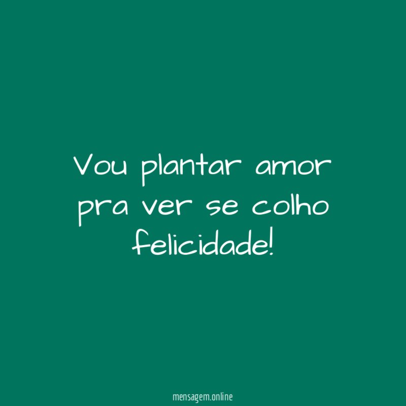 Vou plantar amor pra ver se colho felicidade