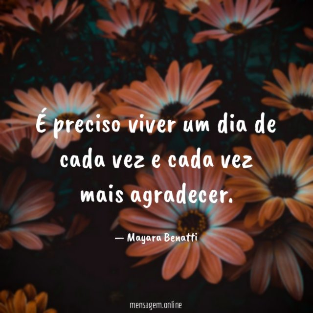 É preciso viver um dia de cada vez e cada vez mais agradecer