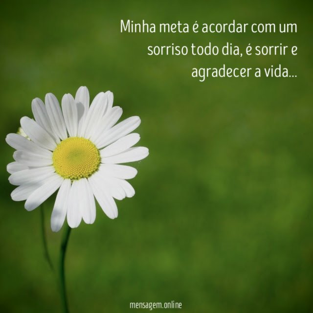 Minha meta é acordar com um sorriso todo dia