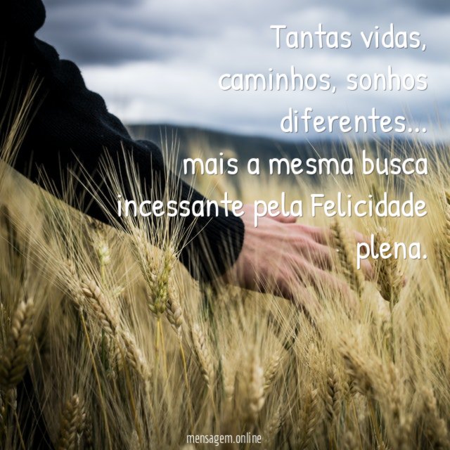 Tantas vidas
