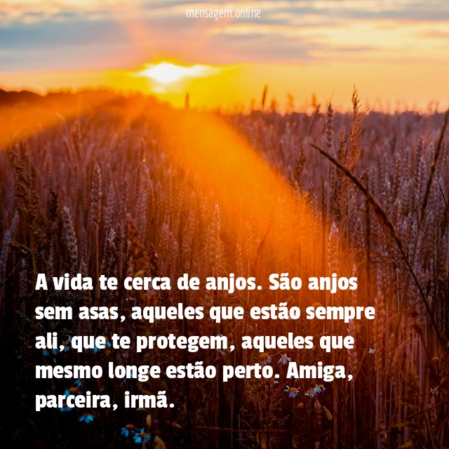 A vida te cerca de anjos