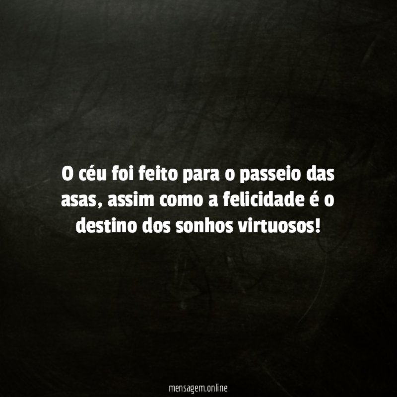 O céu foi feito para o passeio das asas