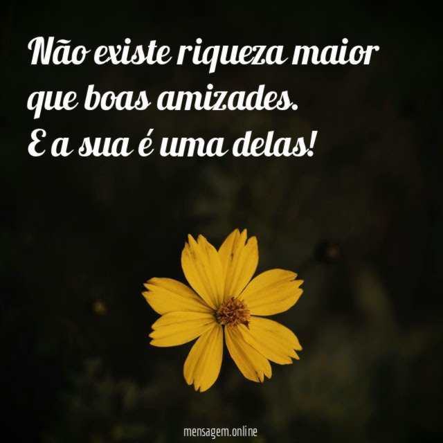 Não existe riqueza maior que boas amizades
