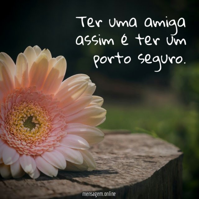 Ter uma amiga assim é ter um porto seguro
