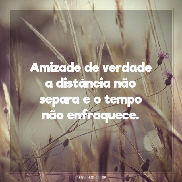 Amizade de verdade a distância não separa
