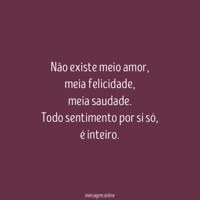 Não existe meio amor