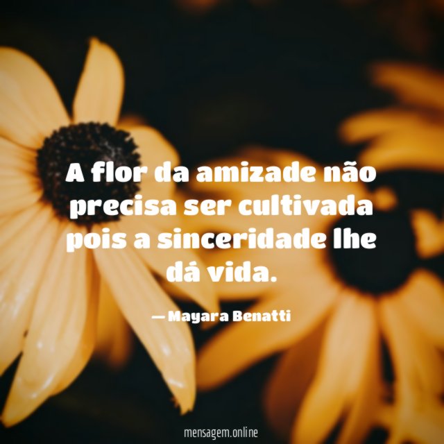 A flor da amizade não precisa ser cultivada