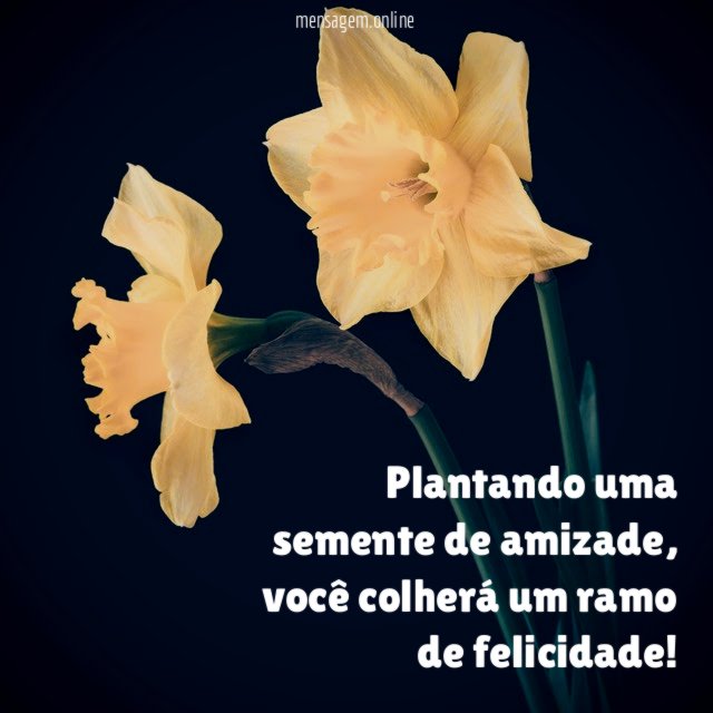 Plantando uma semente de amizade