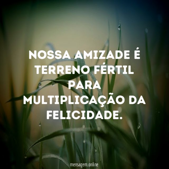Nossa amizade é terreno fértil para multiplicação da felicidade
