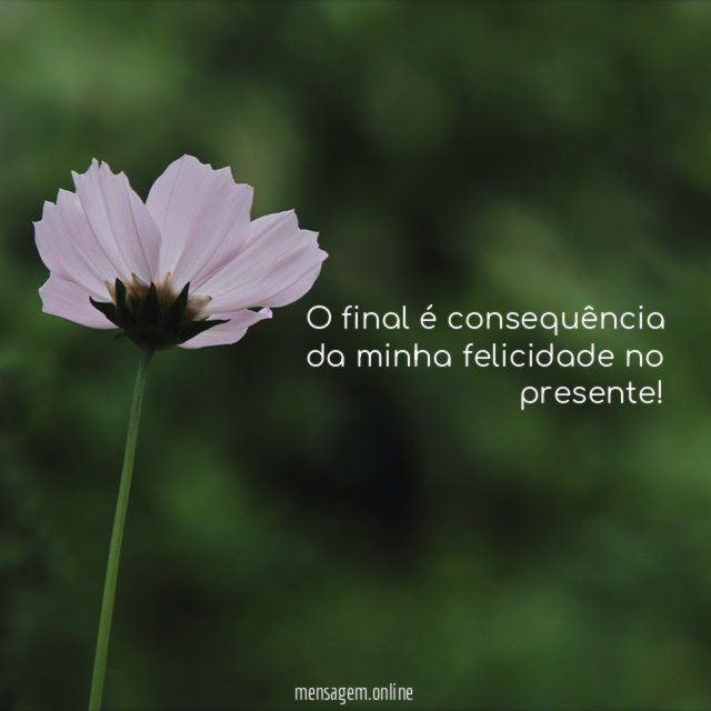 O final é consequência da minha felicidade no presente