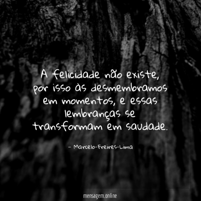 A felicidade não existe
