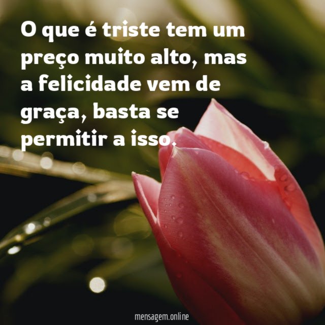 O que é triste tem um preço muito alto
