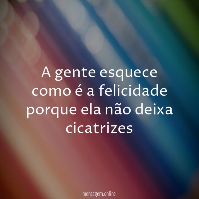 A gente esquece como é a felicidade porque ela não deixa cicatrizes