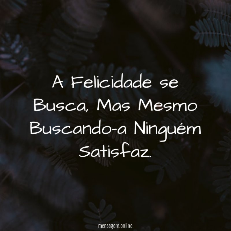 A Felicidade se Busca
