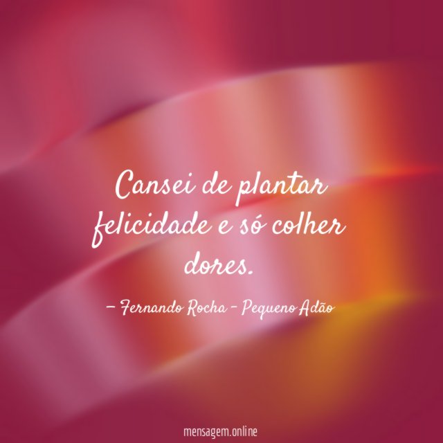 Cansei de plantar felicidade e só colher dores