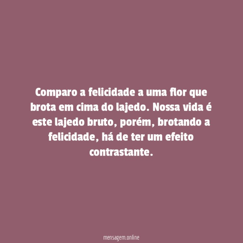 Comparo a felicidade a uma flor que brota em cima do lajedo