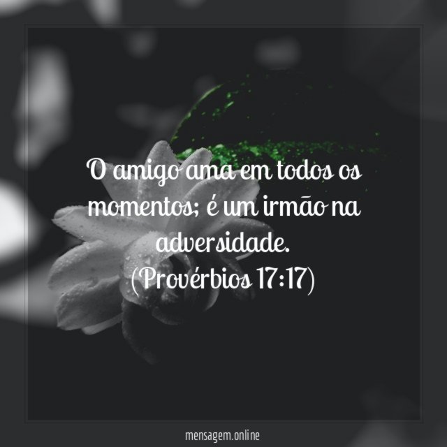 O amigo ama em todos os momentos