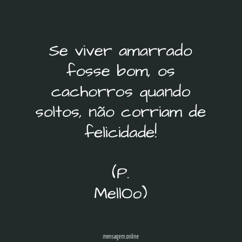 Se viver amarrado fosse bom