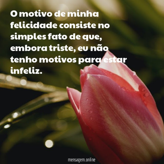 O motivo de minha felicidade consiste no simples fato de que