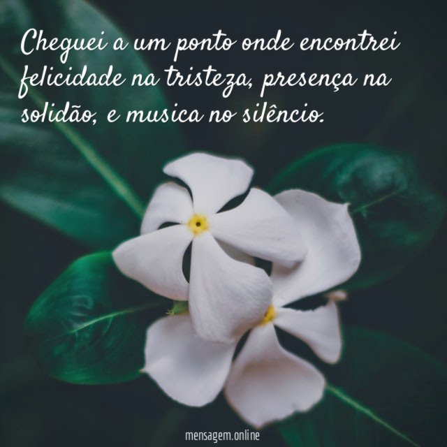 Cheguei a um ponto onde encontrei felicidade na tristeza