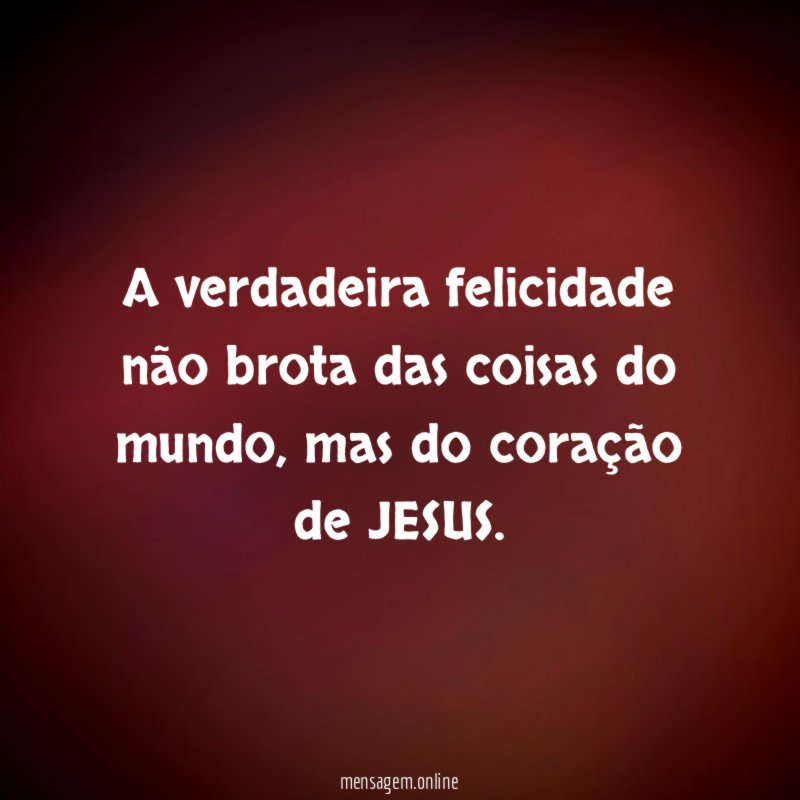 A verdadeira felicidade não brota das coisas do mundo
