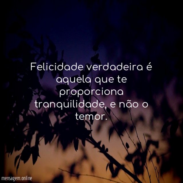 Felicidade verdadeira é aquela que te proporciona tranquilidade
