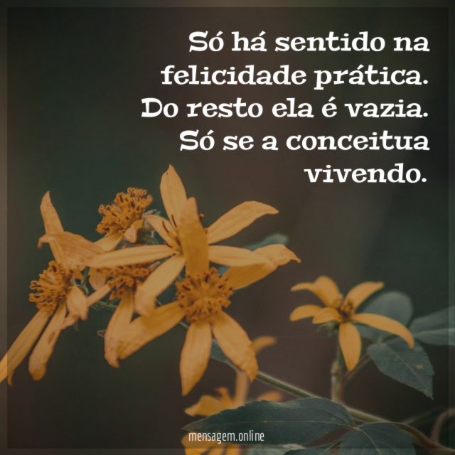 Só há sentido na felicidade prática