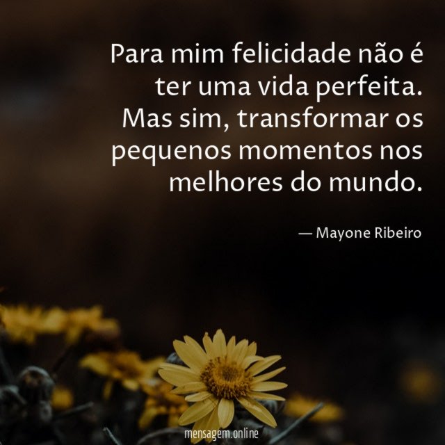 Para mim felicidade não é ter uma vida perfeita
