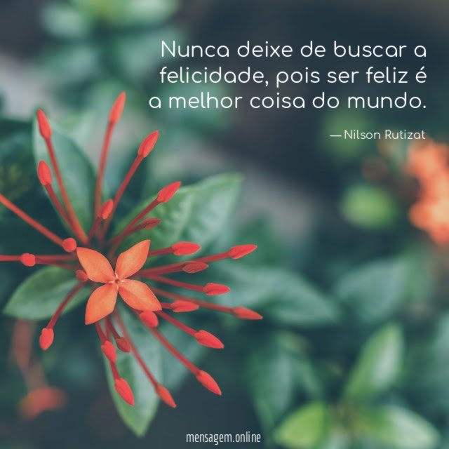 Nunca deixe de buscar a felicidade