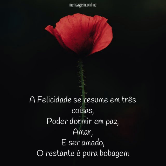 A Felicidade se resume em três coisas