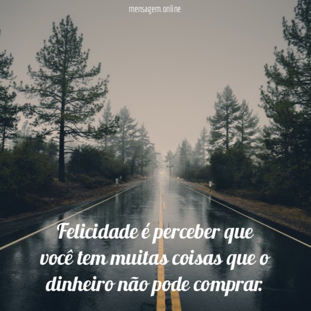 Felicidade é perceber que você tem muitas coisas