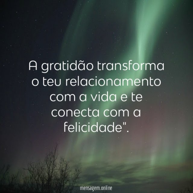 A gratidão transforma o teu relacionamento com a