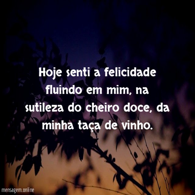 Hoje senti a felicidade fluindo em mim