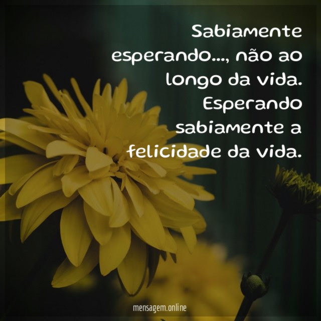 Sabiamente esperando