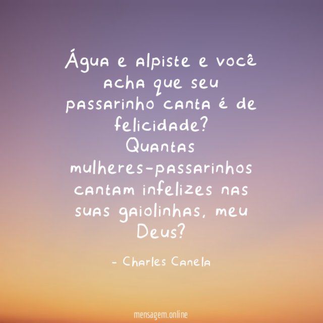Água e alpiste e você acha que seu passarinho canta é de felicidade?