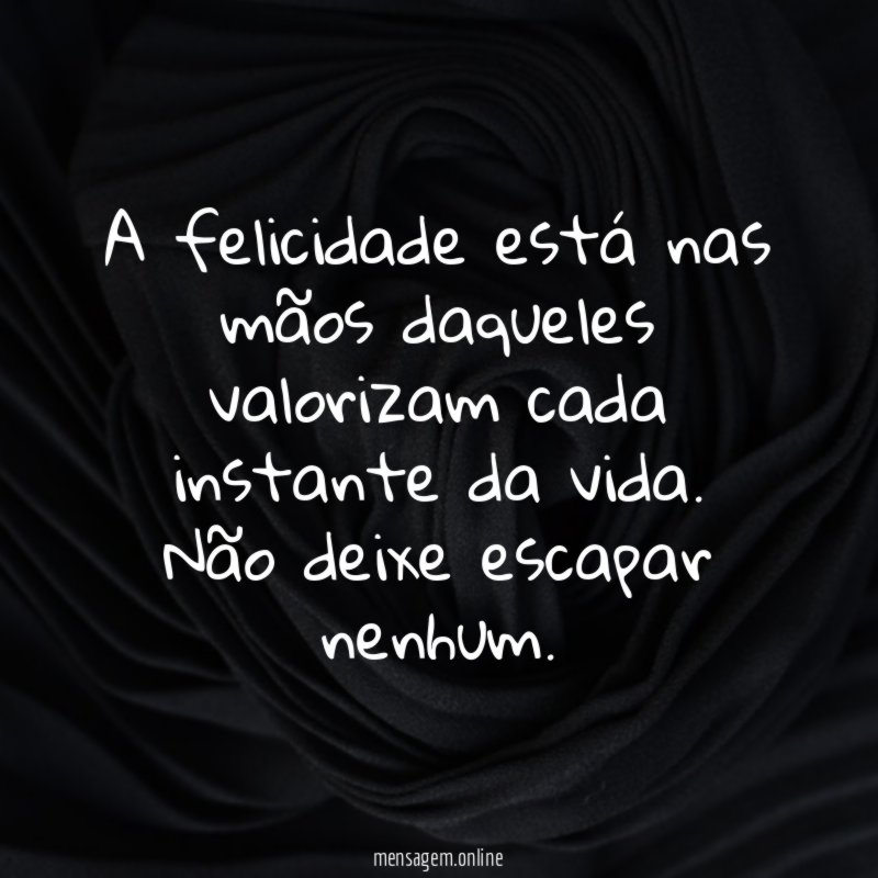 A felicidade está nas mãos daqueles valorizam cada instante da vida