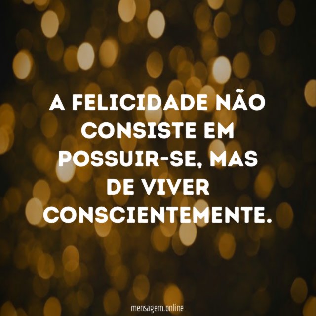 A felicidade não consiste em possuir-se