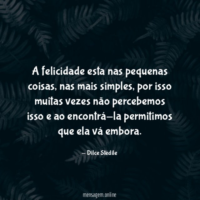 A felicidade esta nas pequenas coisas
