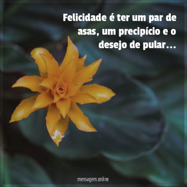 Felicidade é ter um par de asas