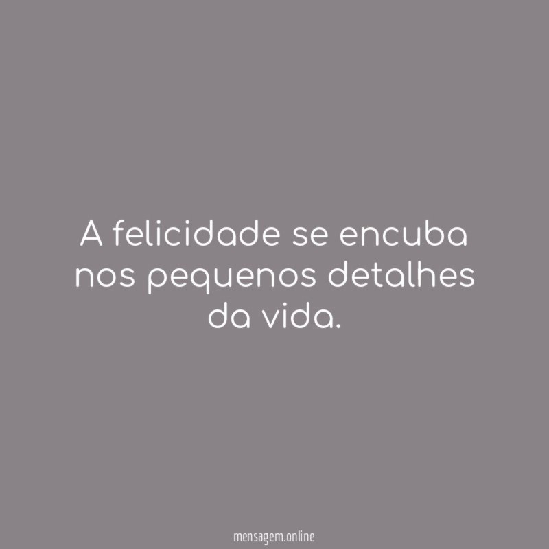 A felicidade se encuba nos pequenos detalhes da vida