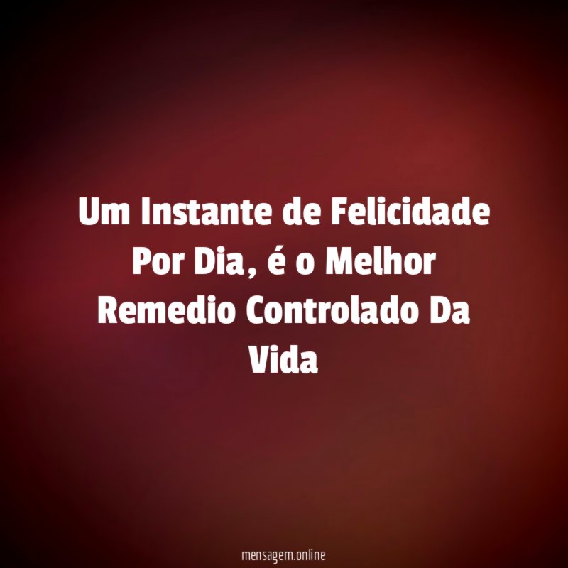 Um Instante de Felicidade Por Dia