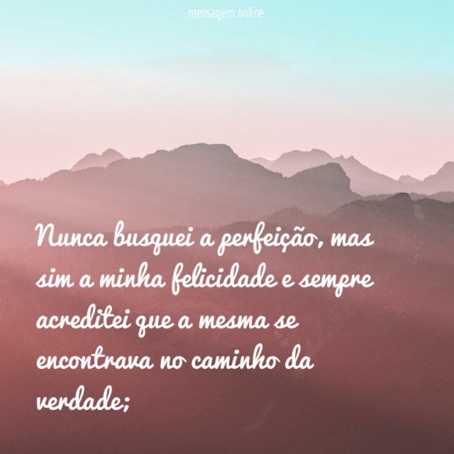 Nunca busquei a perfeição